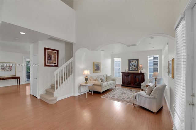 living room featuring hardwood / wood-style floors