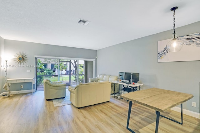 living room featuring light hardwood / wood-style flooring