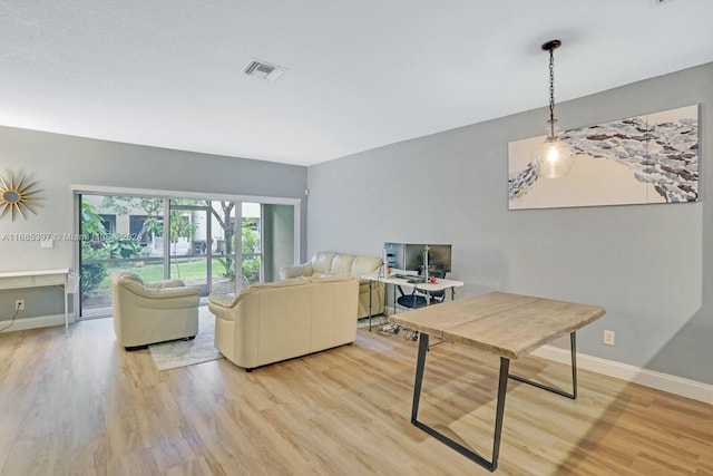 living room featuring light hardwood / wood-style flooring