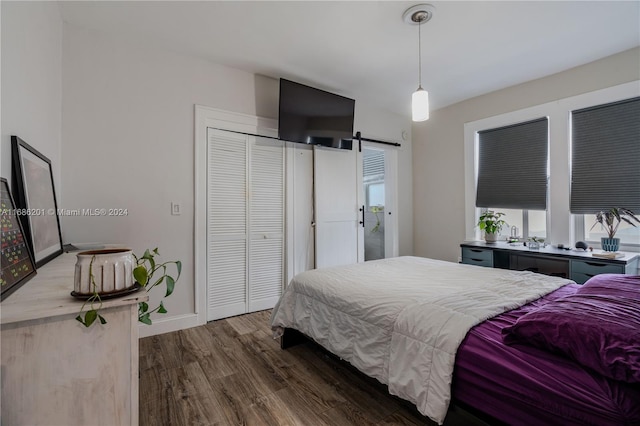 bedroom featuring dark hardwood / wood-style flooring