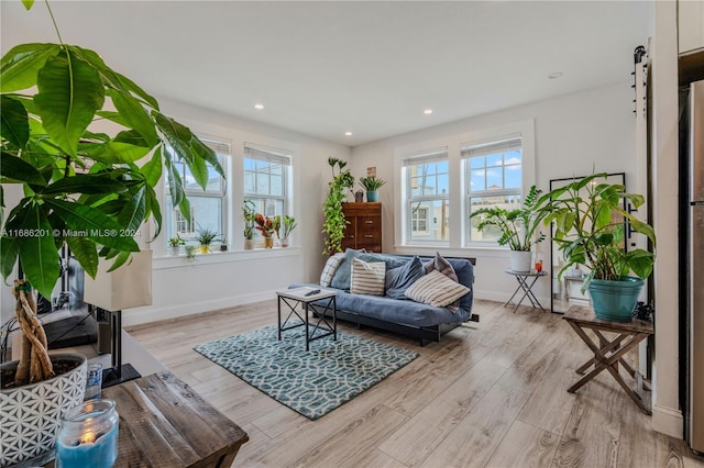 living room featuring light wood-type flooring