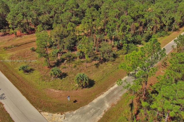 158 Nagel Ave S, Lehigh Acres FL, 33974 land for sale