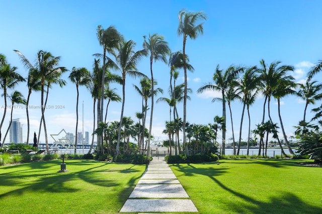 view of community with a water view and a yard