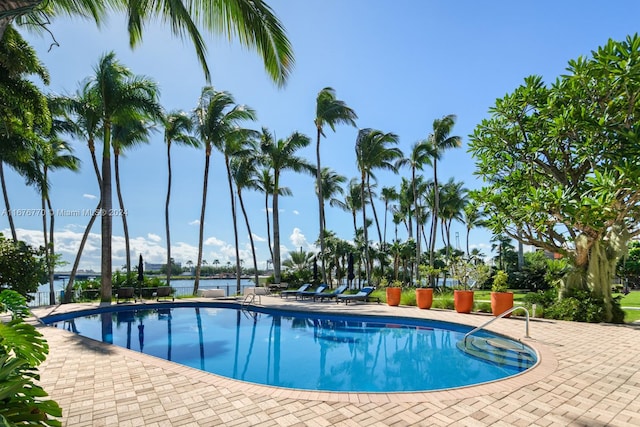 view of swimming pool featuring a patio