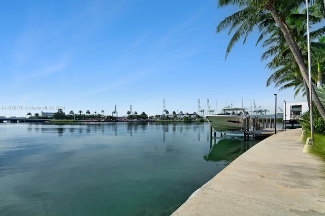 dock area with a water view