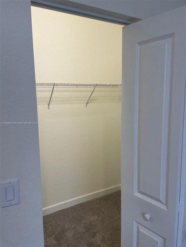 walk in closet with carpet