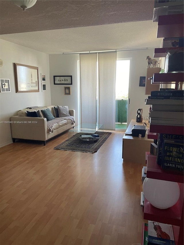 living room with a textured ceiling and wood-type flooring