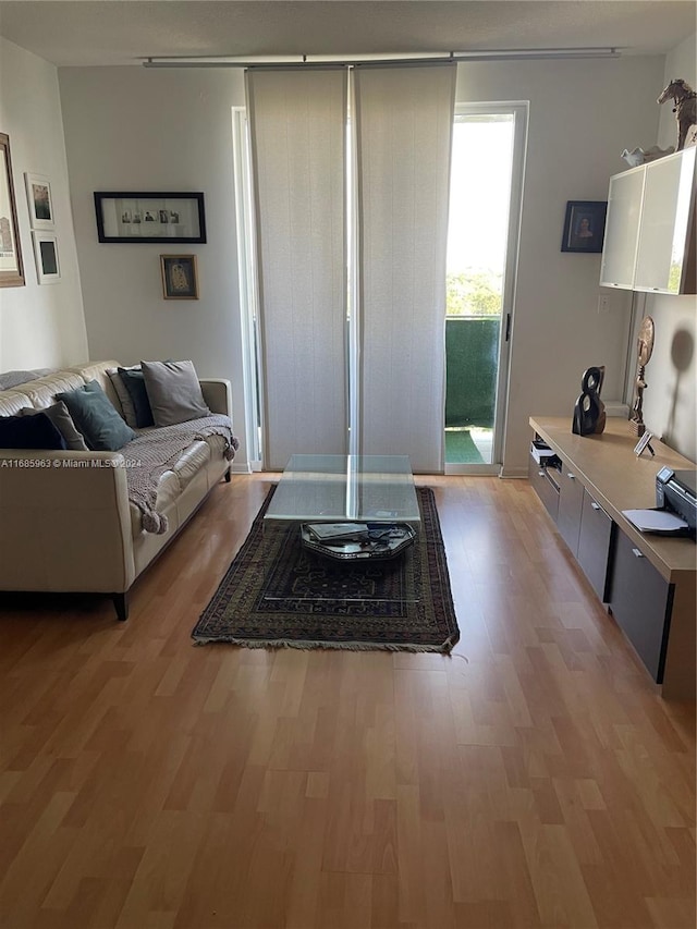 living room with light hardwood / wood-style flooring