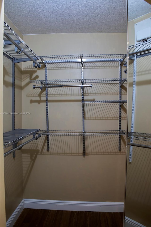 spacious closet featuring wood-type flooring