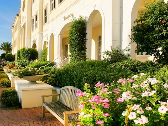 entrance to property featuring a patio