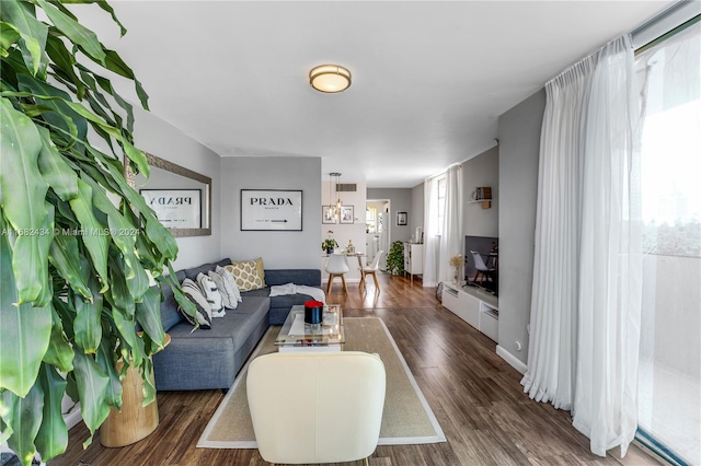 living room with dark wood-type flooring and a chandelier