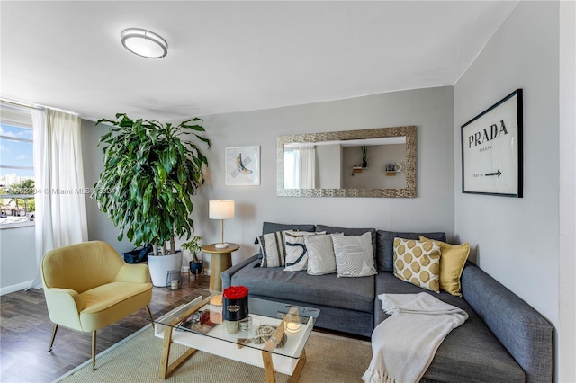 living room featuring hardwood / wood-style flooring