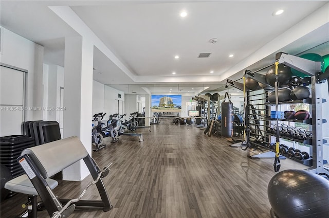 workout area featuring hardwood / wood-style floors