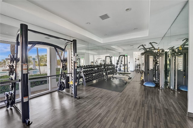 gym with wood-type flooring and a raised ceiling