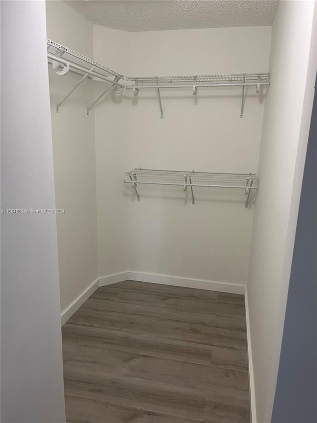 walk in closet with dark wood-type flooring