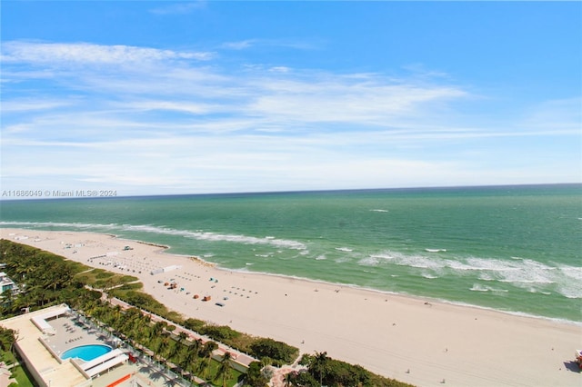 water view featuring a beach view