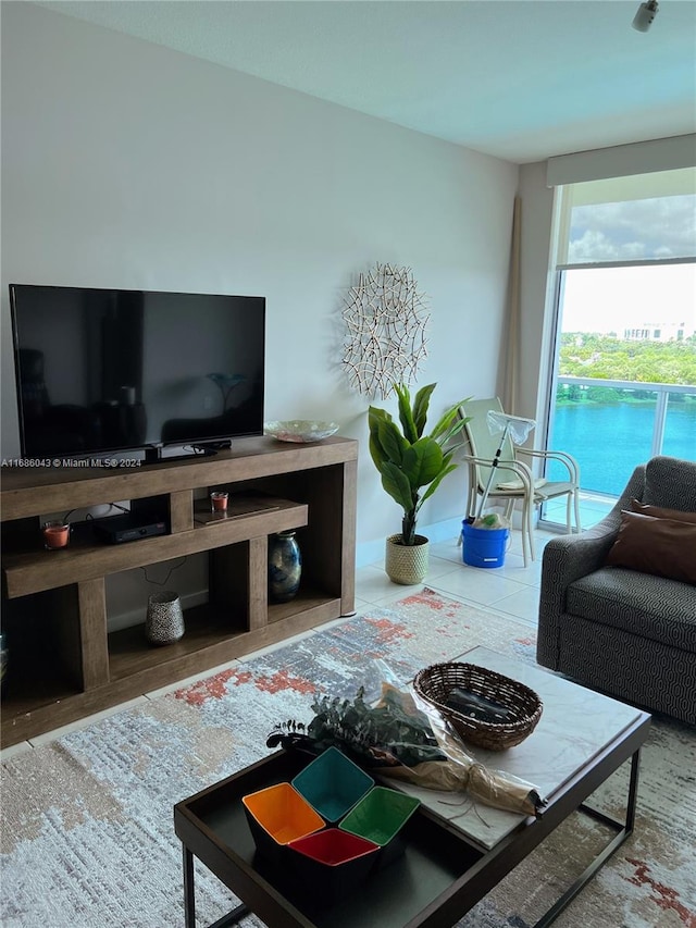 living room featuring wood-type flooring