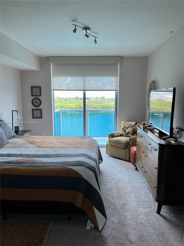 carpeted bedroom featuring multiple windows, access to exterior, and track lighting