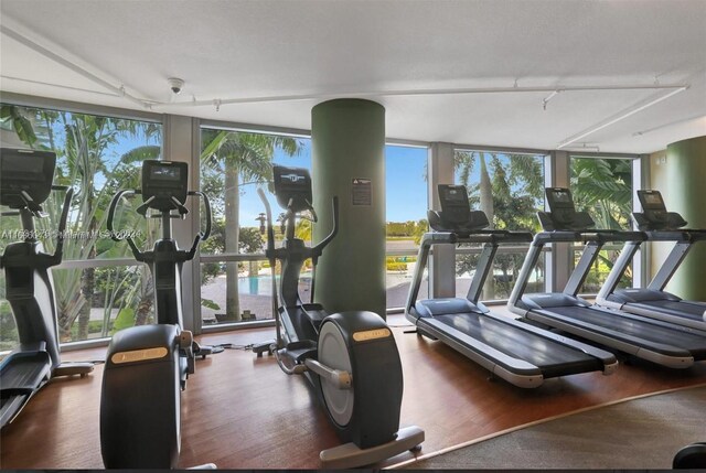 exercise room featuring a wall of windows and dark hardwood / wood-style floors