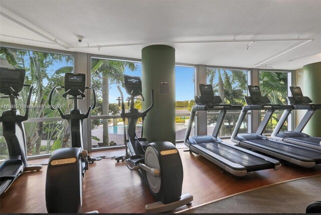 2641 N Flamingo Rd Unit 802N, Sunrise, FL 33323 - gym featuring rail lighting, wood finished floors, and a wall of windows