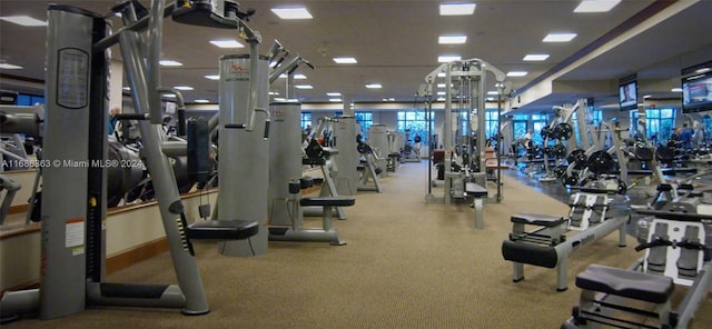 gym with carpet floors