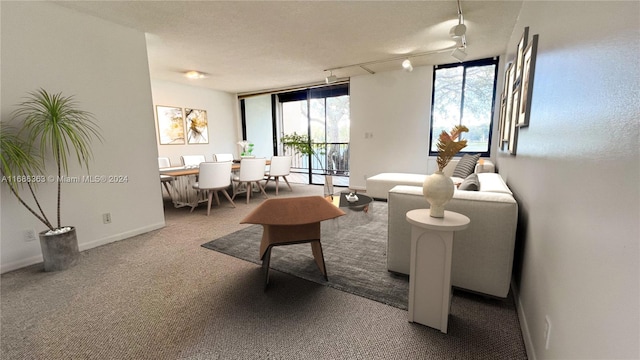 living room featuring rail lighting, carpet, baseboard heating, and ceiling fan