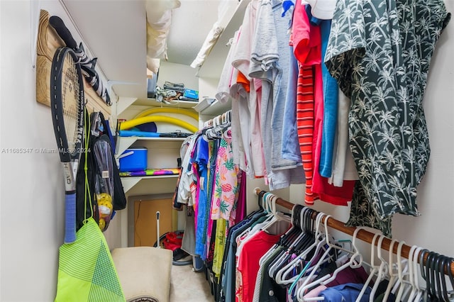 view of spacious closet