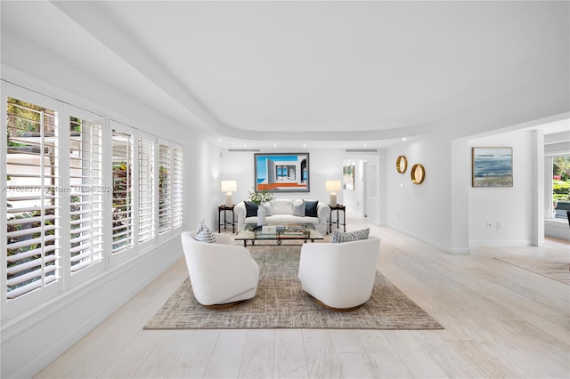 living room with light wood-type flooring