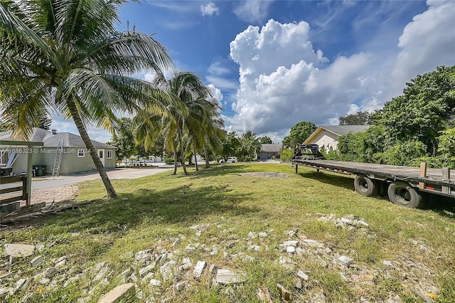830 S Ridge St, Lake Worth, FL 33460 - view of yard
