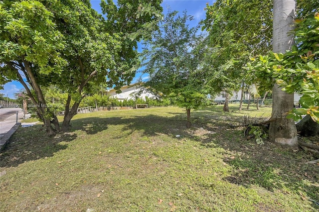 830 S Ridge St, Lake Worth, FL 33460 - view of yard