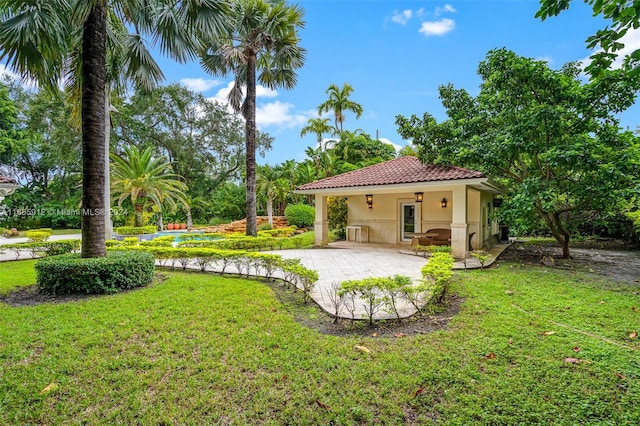 view of yard featuring a patio area
