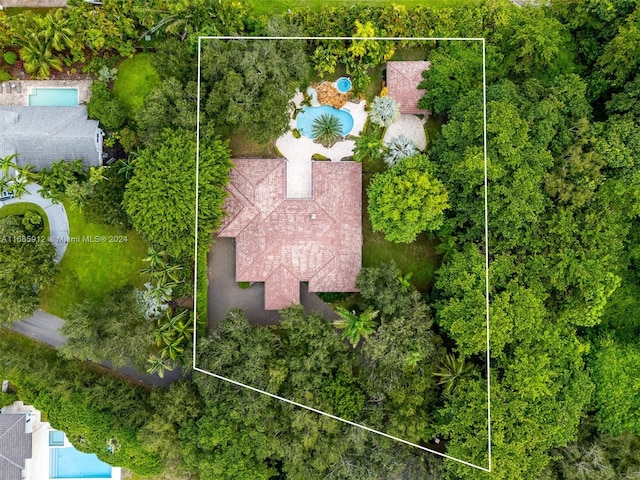 bird's eye view