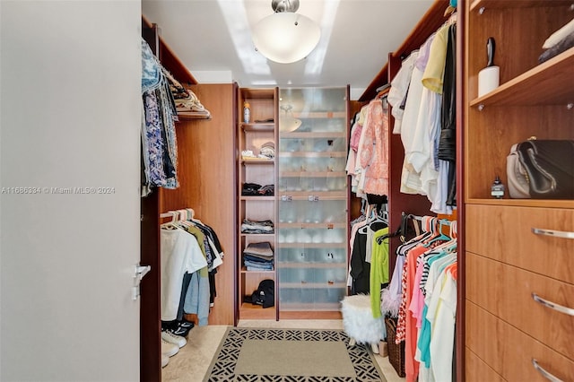 view of spacious closet