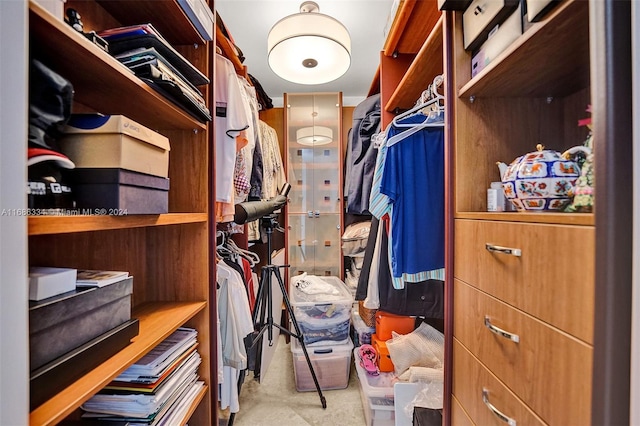 view of walk in closet