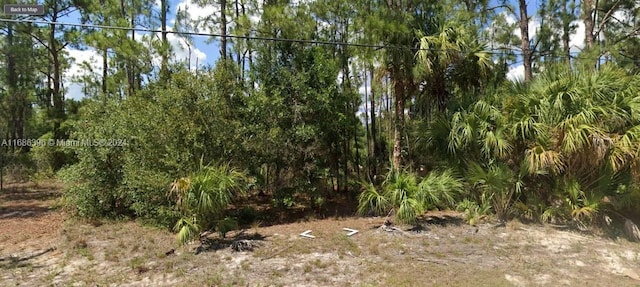 4205 E 10th St, Lehigh Acres FL, 33972 land for sale