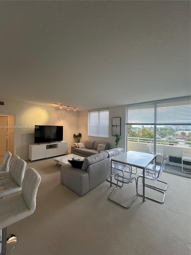 carpeted living area with rail lighting, visible vents, and a textured ceiling