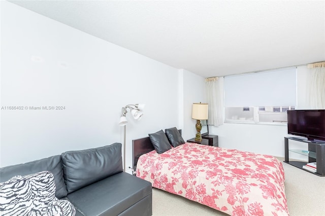 bedroom with carpet floors