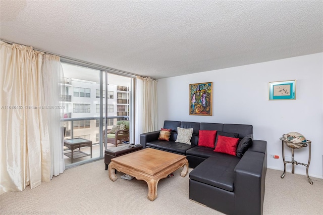 carpeted living room with a textured ceiling