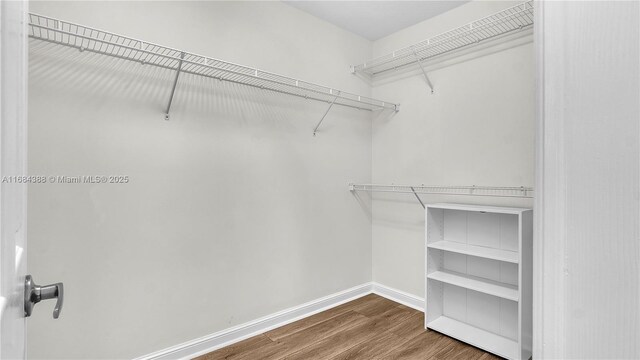4795 S Classical Blvd, Delray Beach, FL 33445 - walk in closet featuring wood finished floors