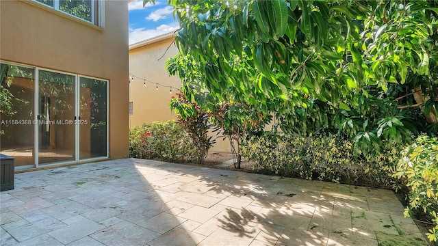 4795 S Classical Blvd, Delray Beach, FL 33445 - view of patio