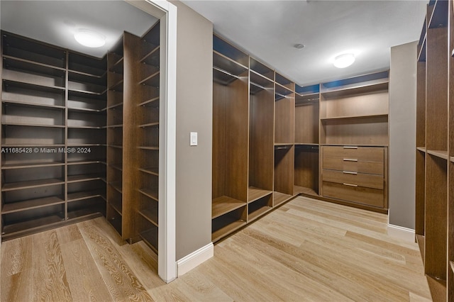 spacious closet with light wood-type flooring