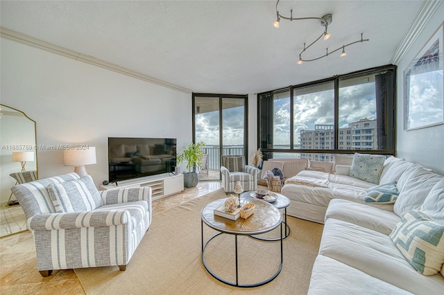 living room featuring a textured ceiling, expansive windows, and ornamental molding