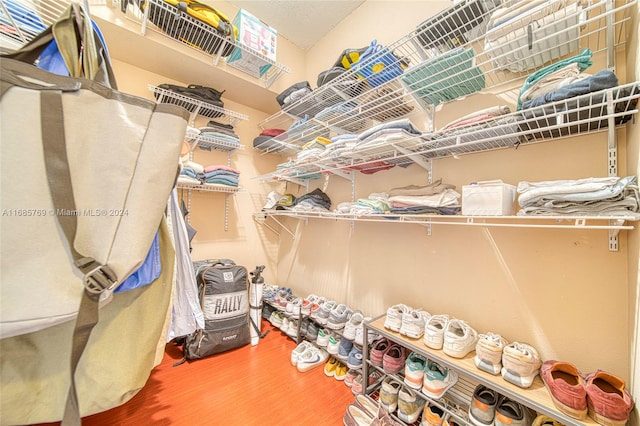 walk in closet featuring hardwood / wood-style flooring