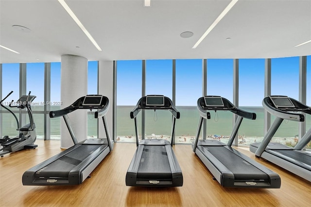 gym with a water view, light hardwood / wood-style flooring, and floor to ceiling windows