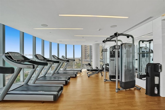 gym featuring light hardwood / wood-style flooring and floor to ceiling windows