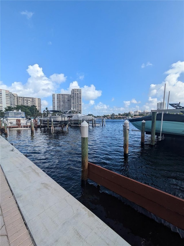 dock area with a water view