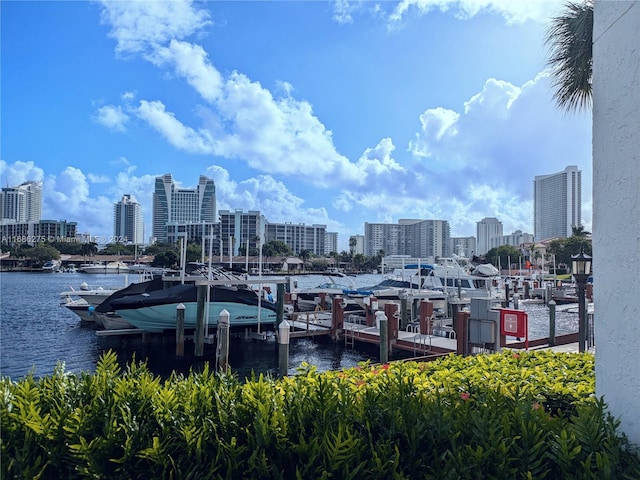 exterior space with a water view and a dock