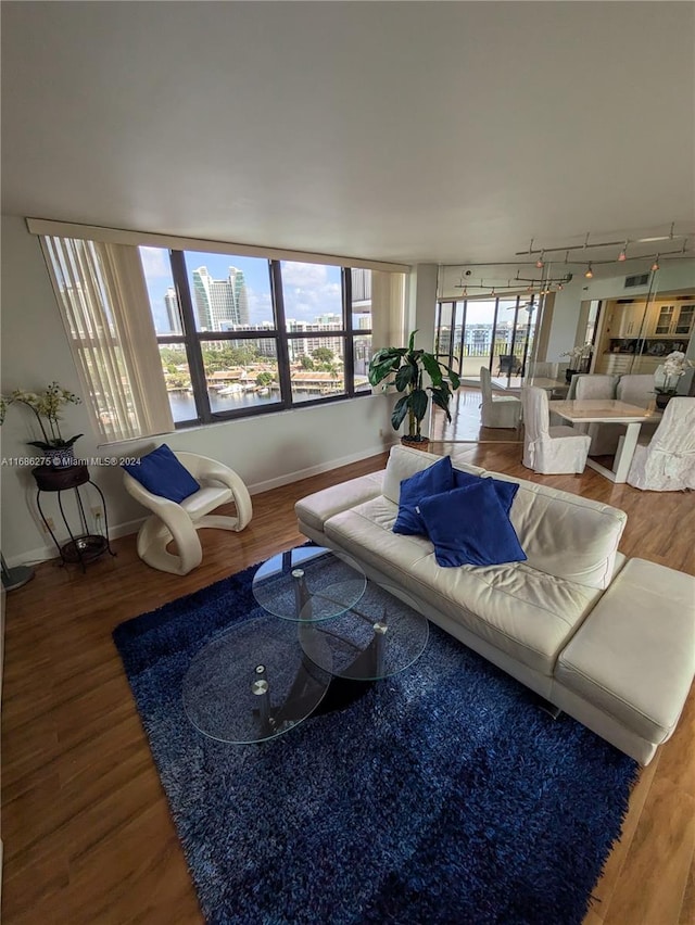 living room featuring hardwood / wood-style flooring, track lighting, and a healthy amount of sunlight