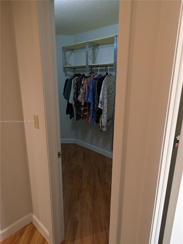 walk in closet with hardwood / wood-style flooring