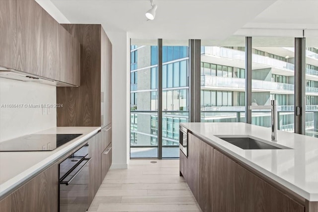 kitchen featuring oven, black electric cooktop, and a wealth of natural light